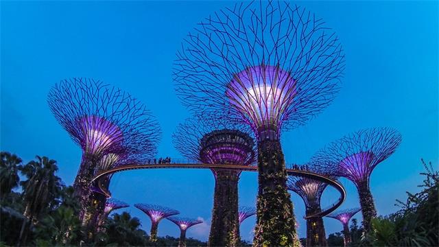 Guide to the best hotels of Singapore3