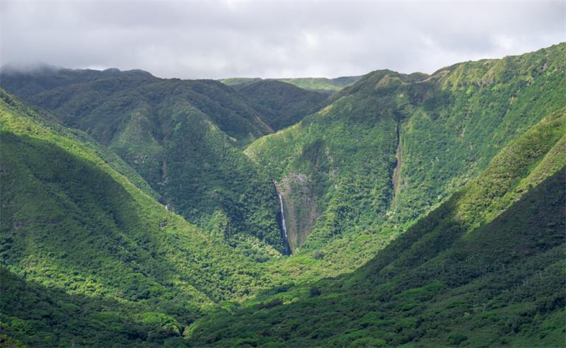 Looking for Authentic Hawaii and Found It in Molokai3