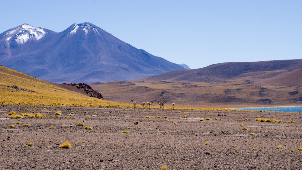 The Best Camping Site in The Desert of San Pedro de Atacama Chile8