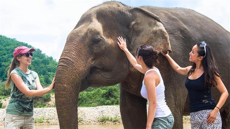 The best way to play with elephants in Thailand 1