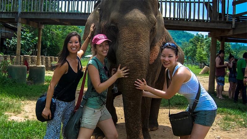 The best way to play with elephants in Thailand3