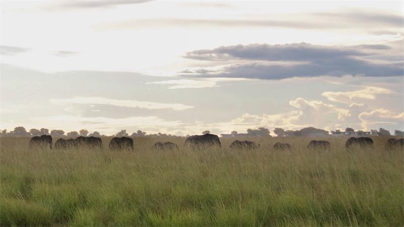 Three stunning places in Southern Africa for a safari adventure9
